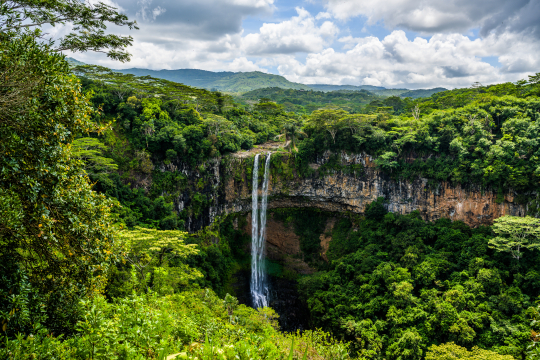 Mauritius_Winter